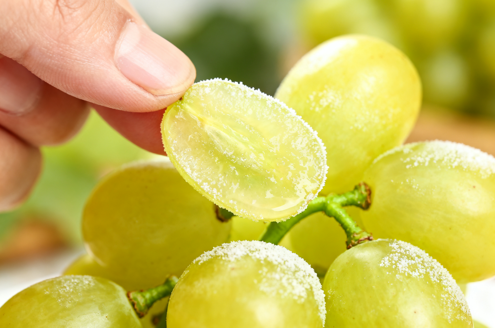 优质阳光玫瑰选购要点，检查果霜与果柄新鲜度特写