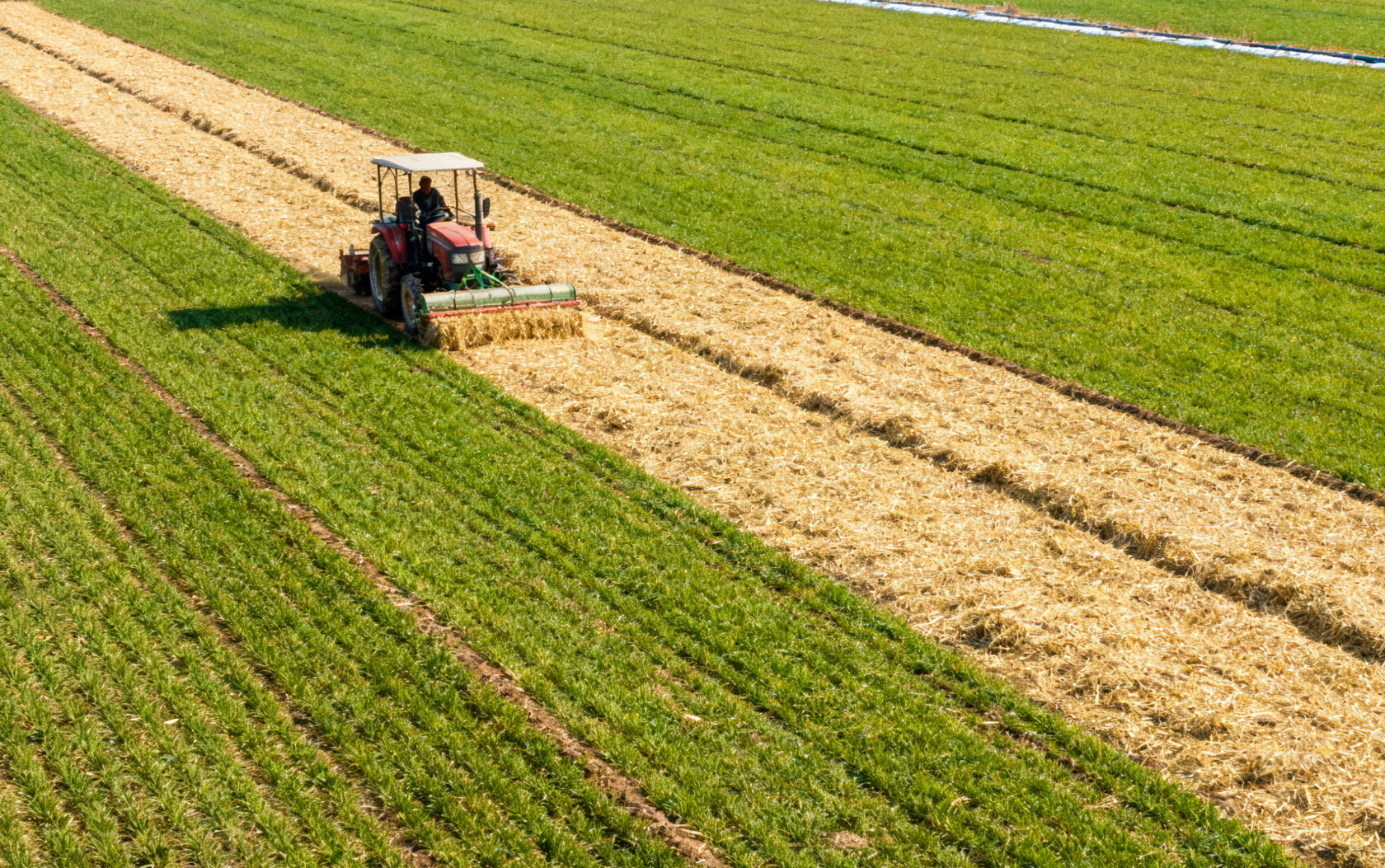 灌溉后保墒措施，秸秆覆盖作业远景