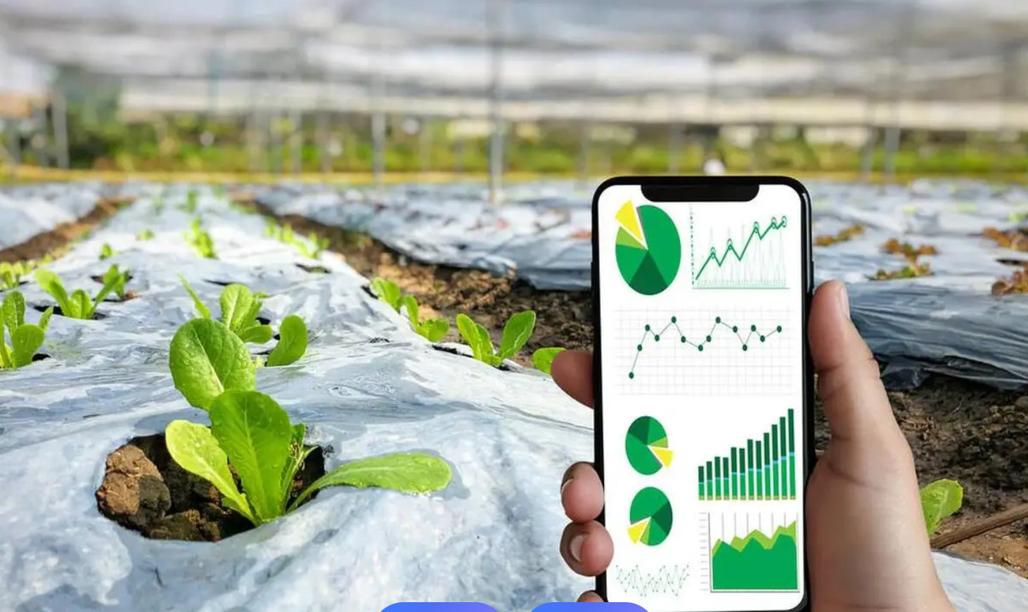 人工智能如何重塑中国农业新未来？