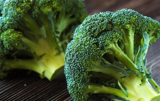 西兰花种植定植