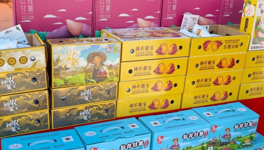 岳龙镇甘薯相关旅游场景