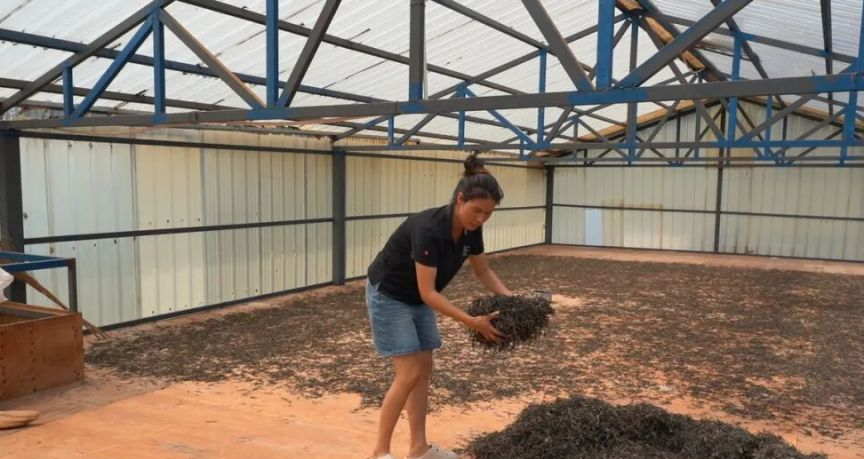 自然能提水系统