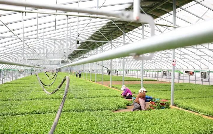 资源节约与环境改善