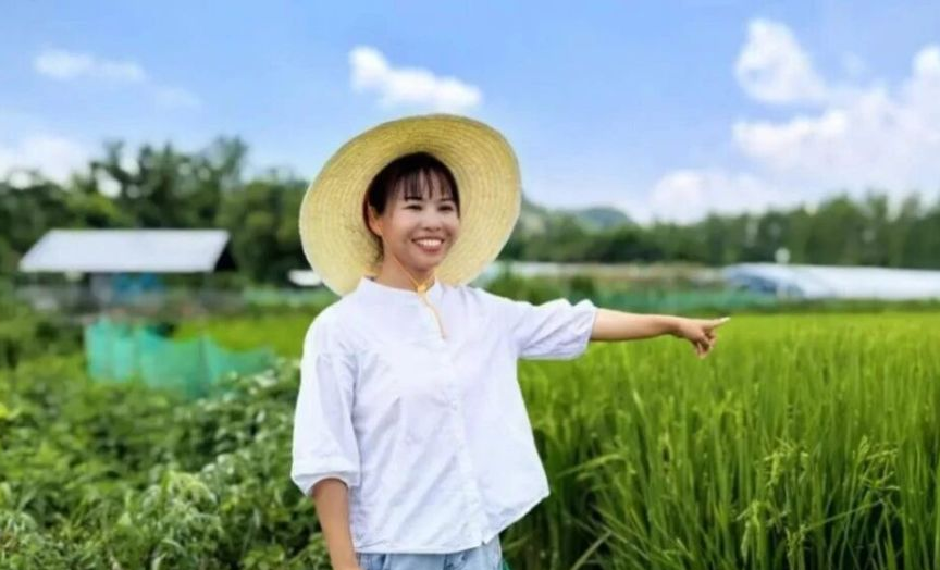 生态循环模式下的农田