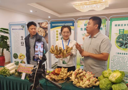 涞水生姜测产现场