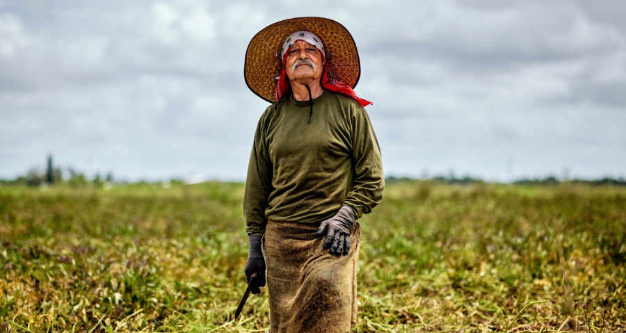 西班牙街头露宿的工人
