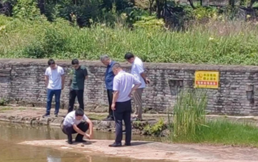 产业链与人才回流相关图片