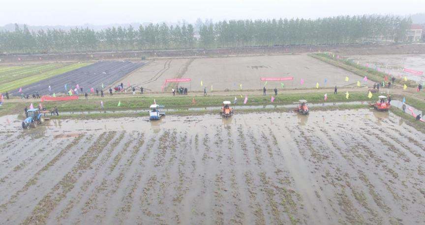 潜江虾稻产业链企业