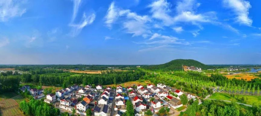 仪征微党校茶旅研学路线