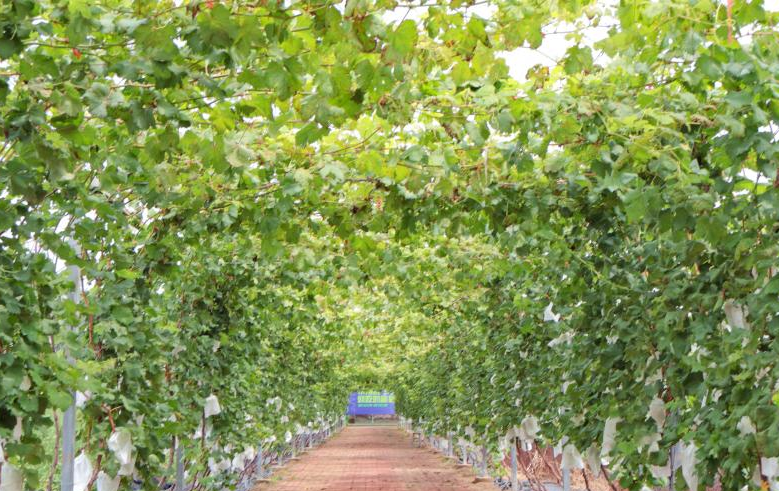 老窑口研学基地