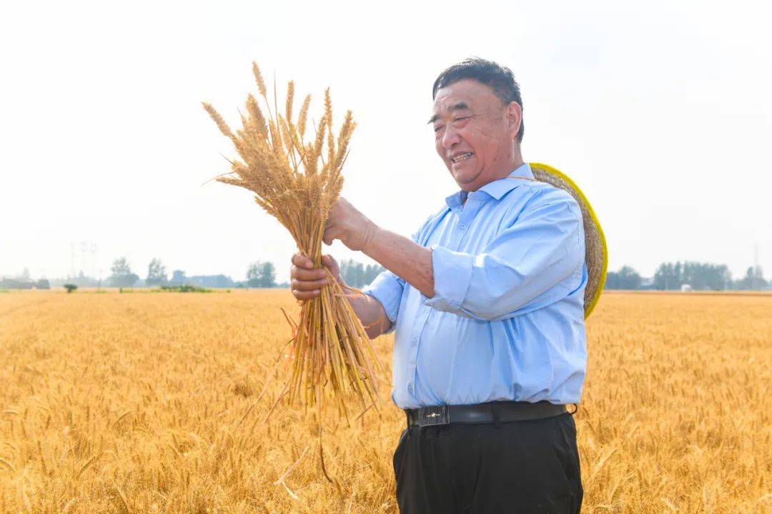 徐淙祥：黄淮大地上的“时代楷模”