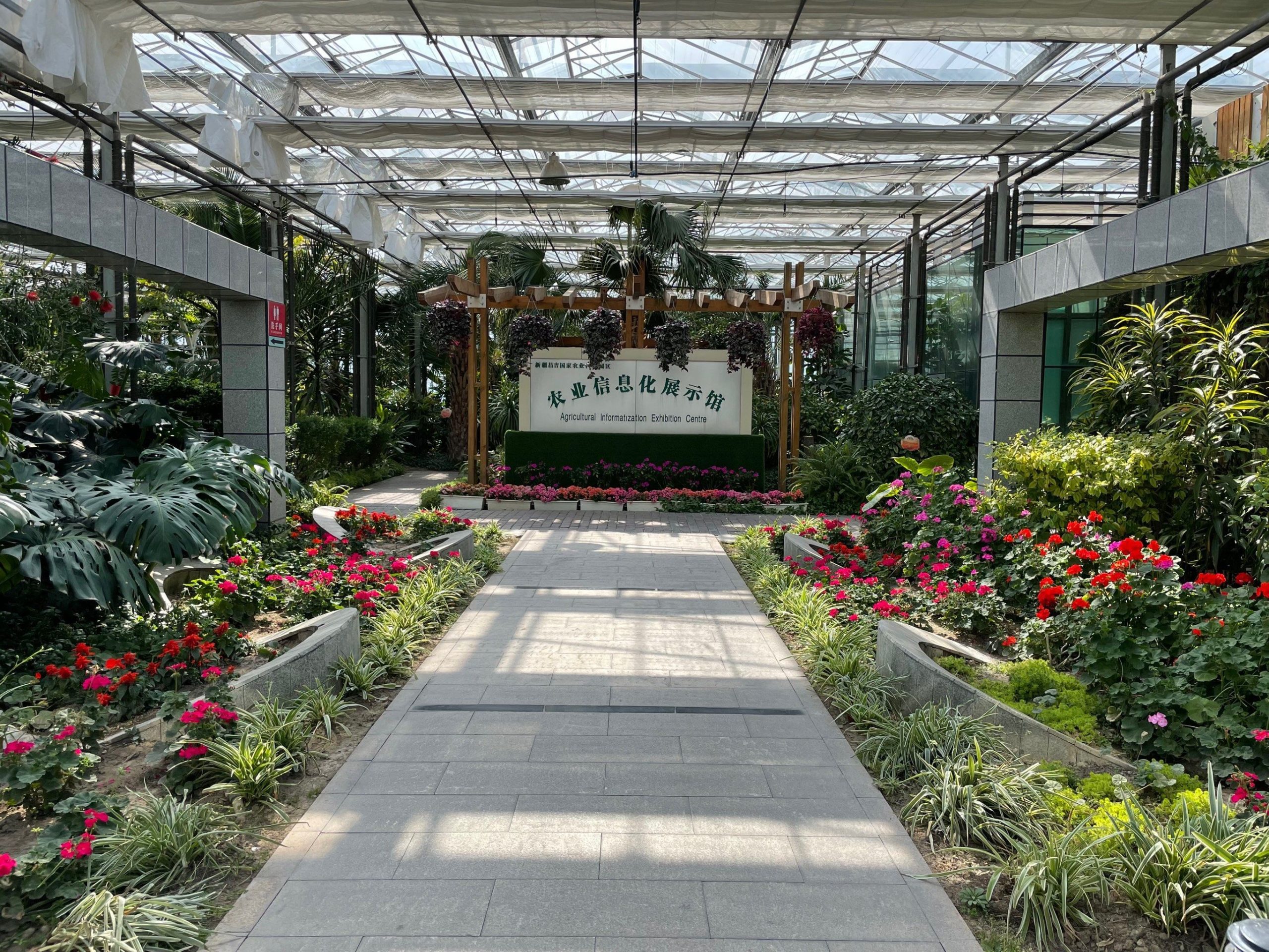 上合媒体团探访新疆：见证农业“向新力”