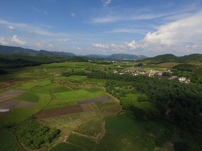 清远：特色农业集群化，奏响乡村振兴强音
