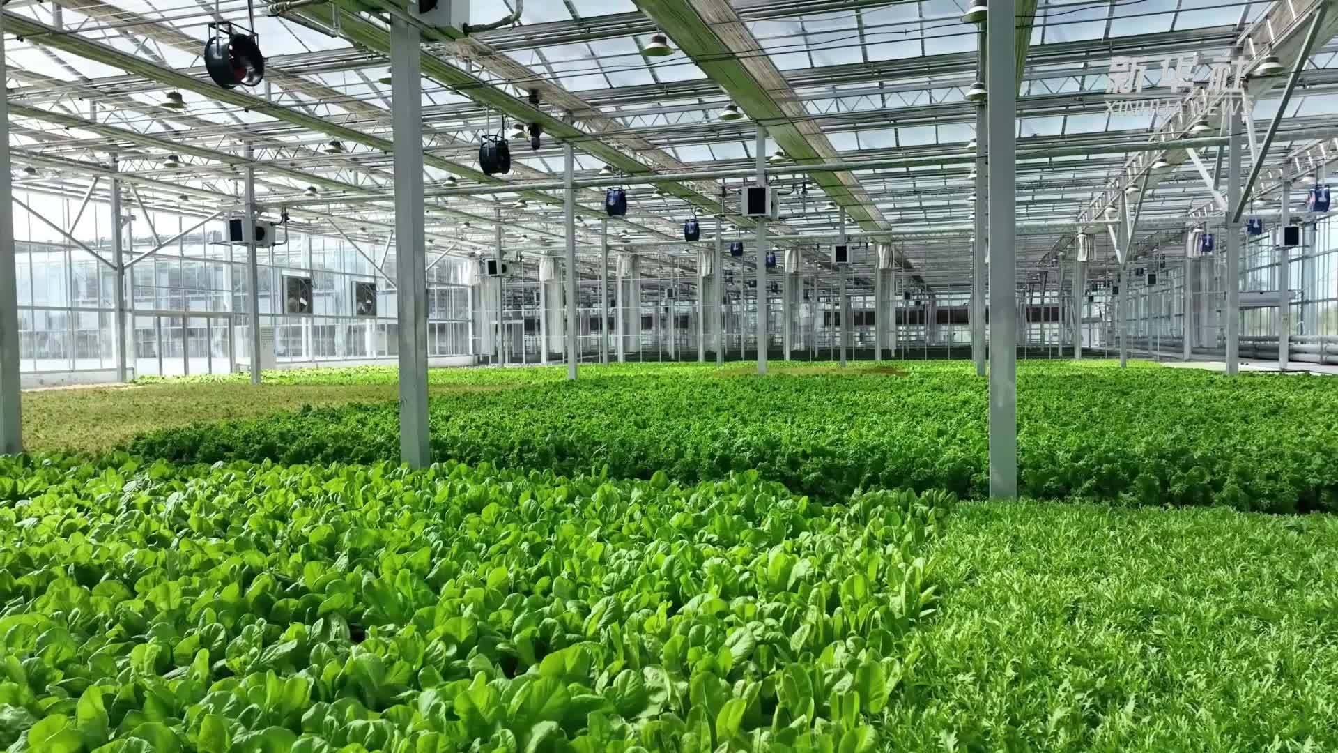 了解多种新型农业种植技术，选对适合你的种植办法