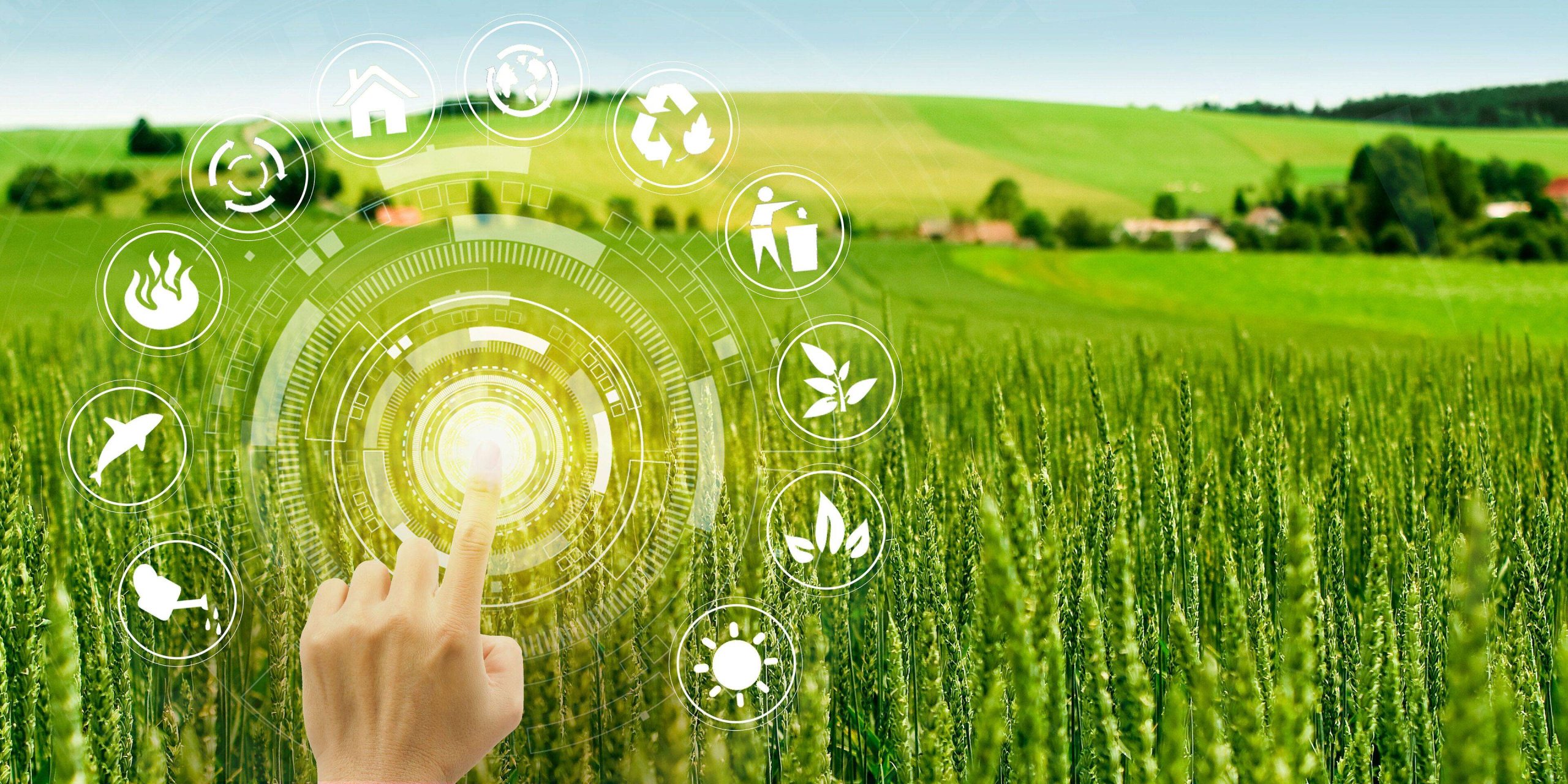 “十四五”过半，数字中国建设交出亮眼答卷