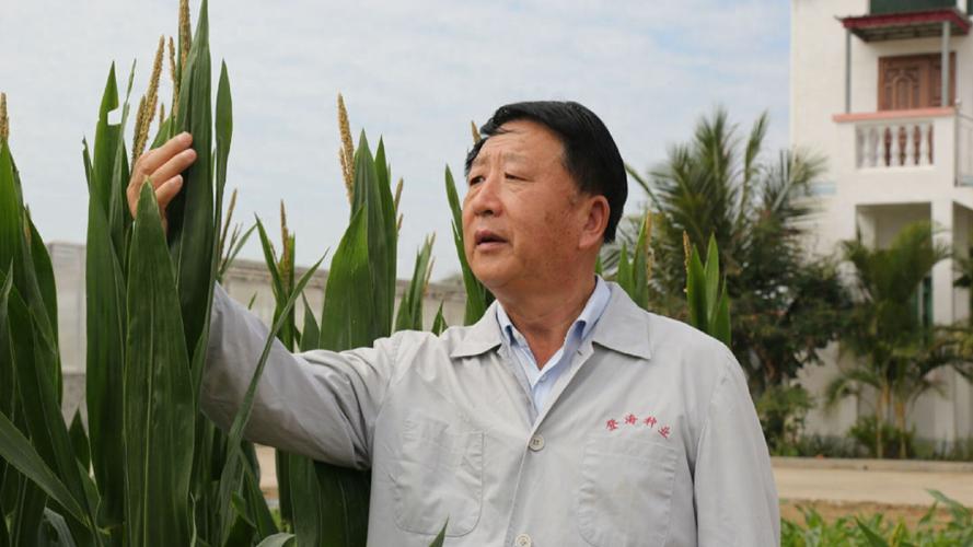 李登海：玉米地里的逐梦人