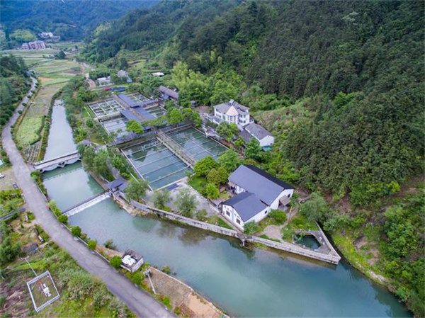 “西湖醋鱼”背后的龙游共富新篇：新乡贤引领共享农业新征程