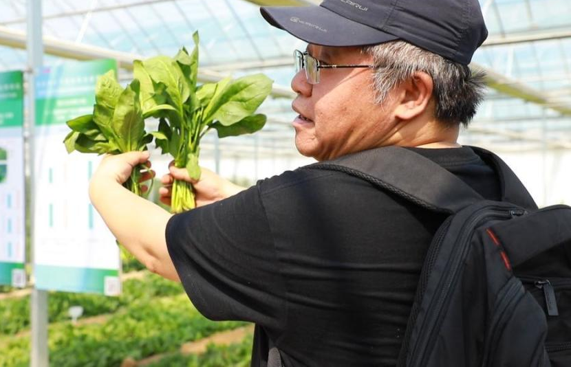 鲁西集团富氢水灌溉装置有何优势 助力聊城碳氢农业示范基地建设