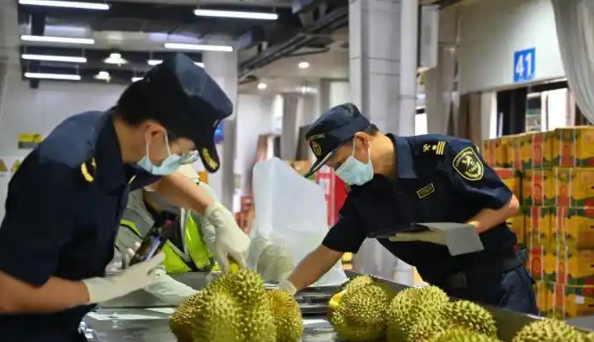 全国首个！中越友谊关智慧口岸建成联调，赋能边境贸易转型升级