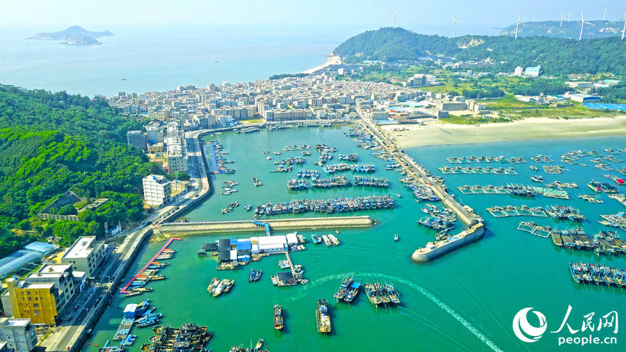 面朝大海，渔获满仓！福建这座小渔村，靠“海”吃饭赚翻了！