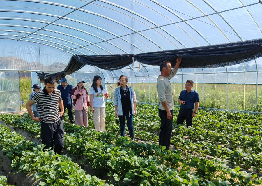 科技特派员深入共和县，助力农业技术提升与产业发展