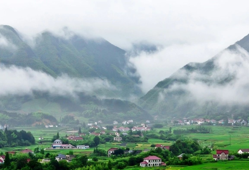 浙江全面推进农业农村绿色转型：打造美丽经济与生态农业新高地