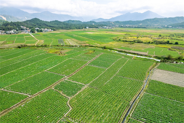 在变革中突围：农产品企业如何应对市场、生产与质量安全的新风险？