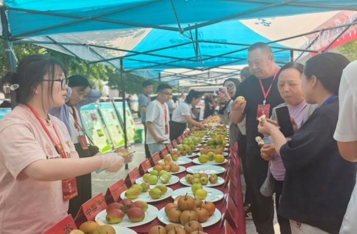 科技赋能小平房南果梨产业升级，实现提质增效