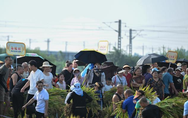 四川眉山农趣赛事彰显乡村新活力：从田间竞技到人均收入 2.8 万，深化农文体旅融合