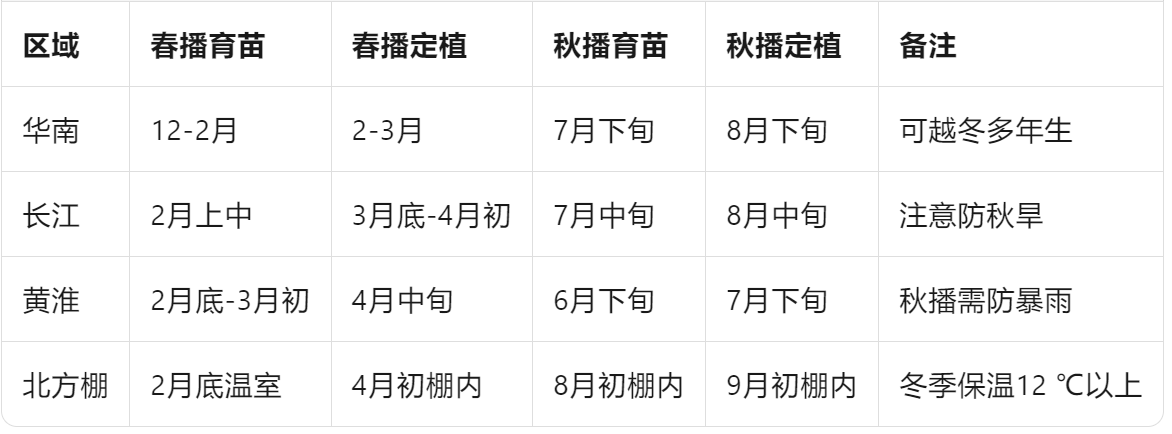 小米椒