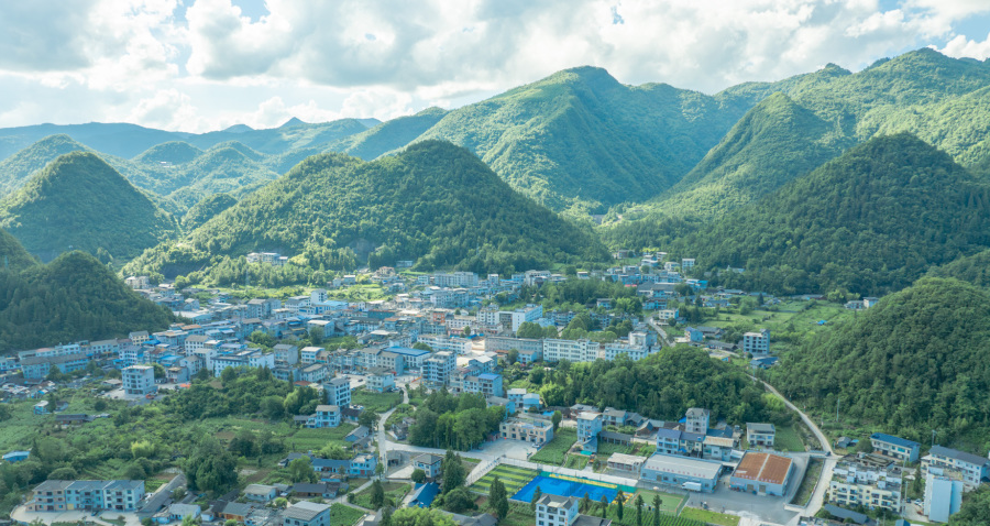 鹤峰箬叶