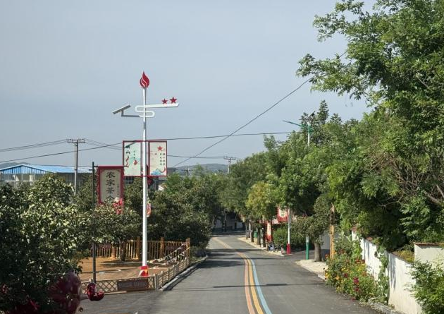 庞家庄村新貌