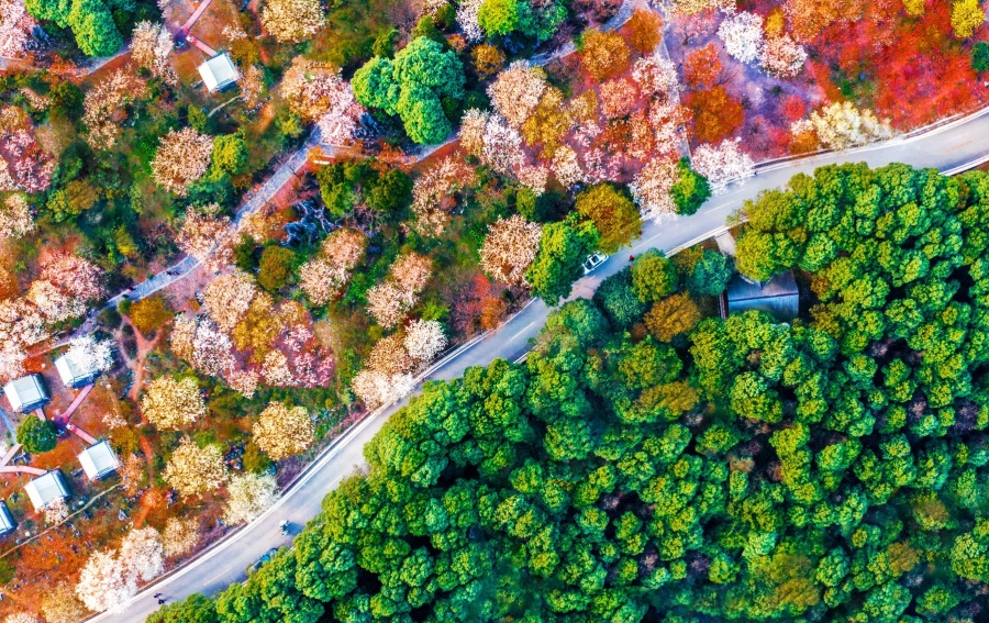 重庆农村公路