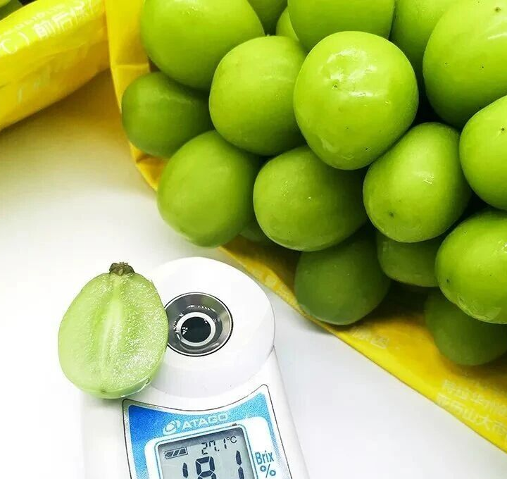 阳光玫瑰葡萄