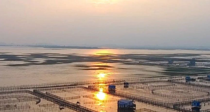 阳澄湖大闸蟹
