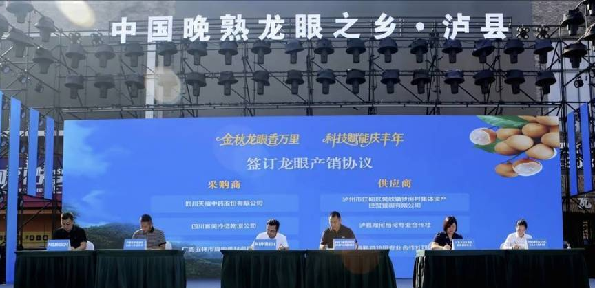 签约仪式