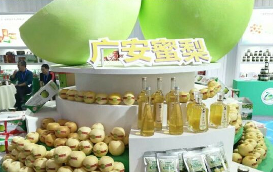 广安蜜梨