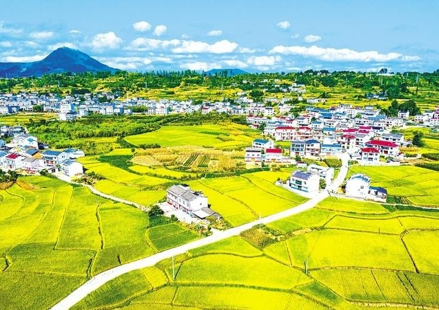 湖北农业景象