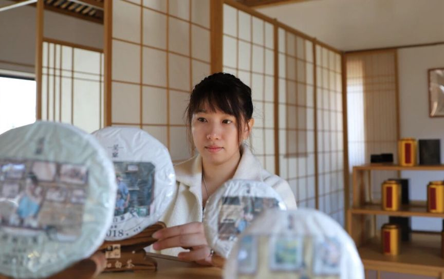 政和茶叶产业