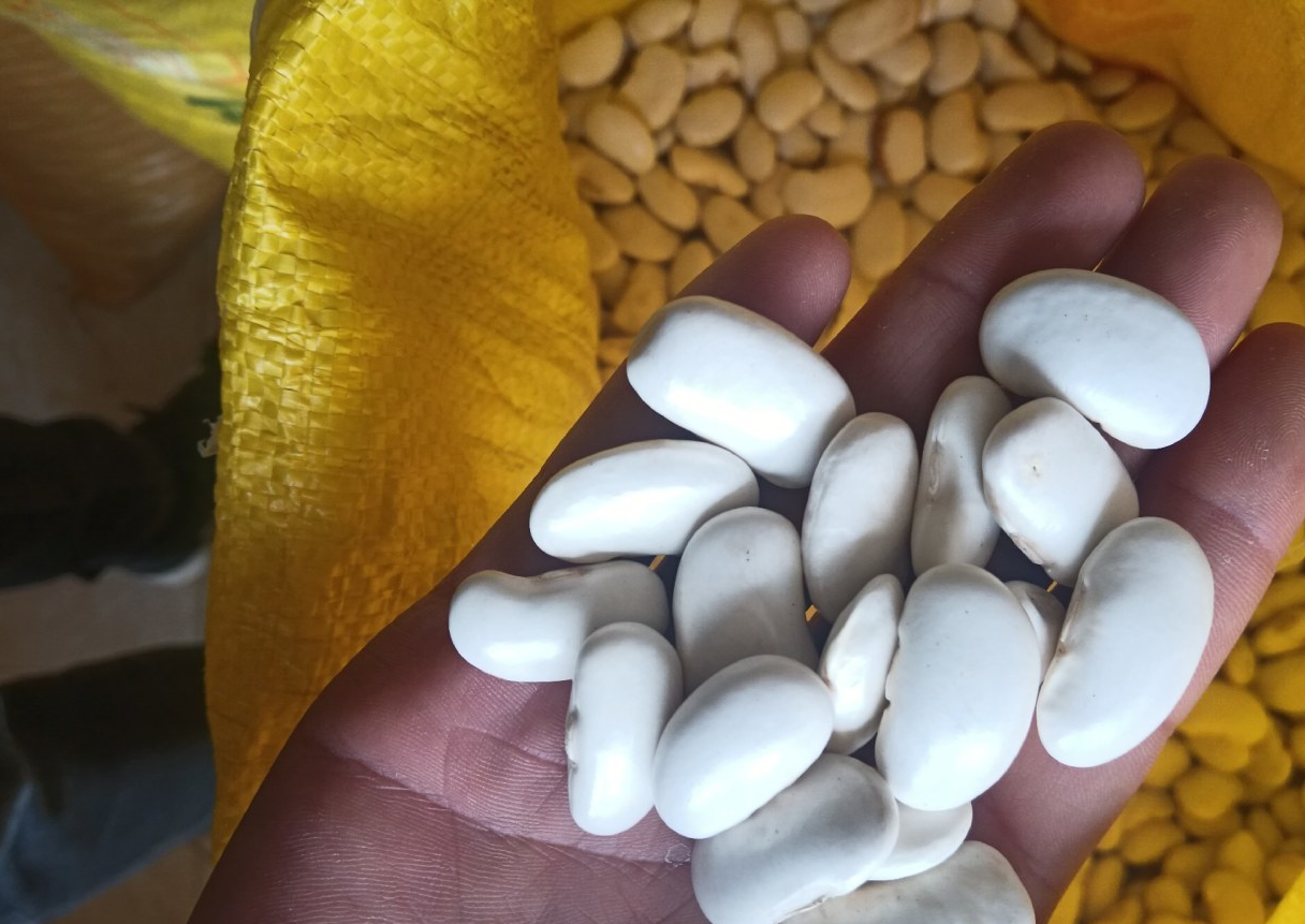 大豆用途图片