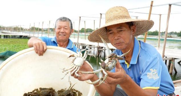 湖州大闸蟹