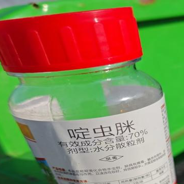 专家解读图片