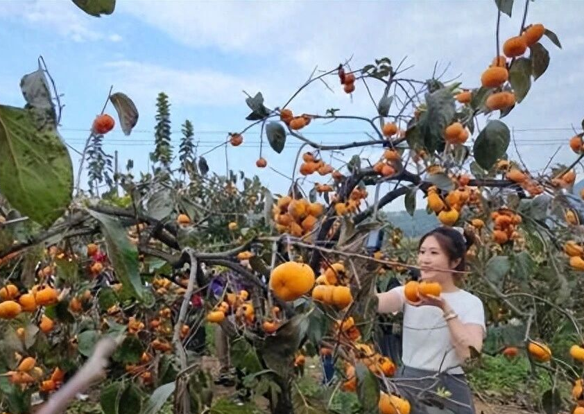 红岩村景色