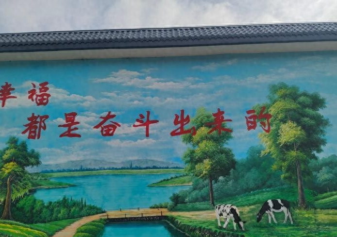 倪家沟村环境