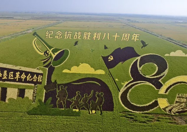 稻田画