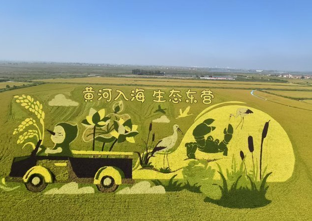 游客参与活动