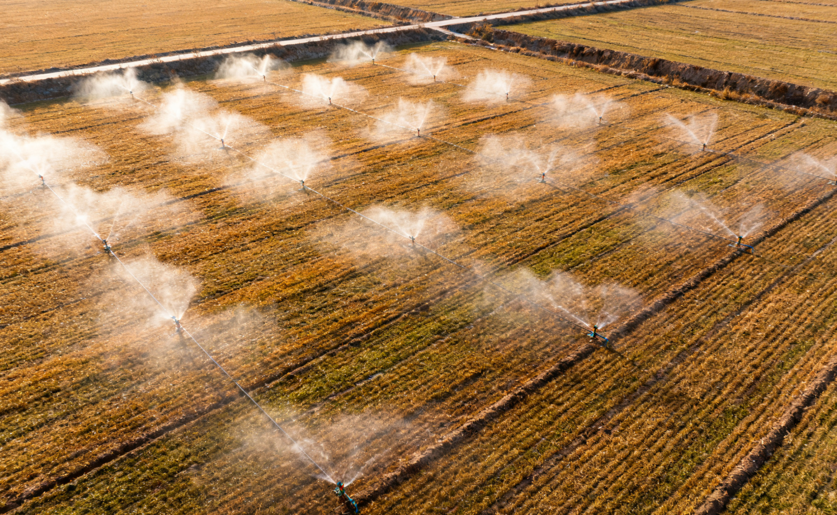 滴灌微灌技术应用与系统维护全解析