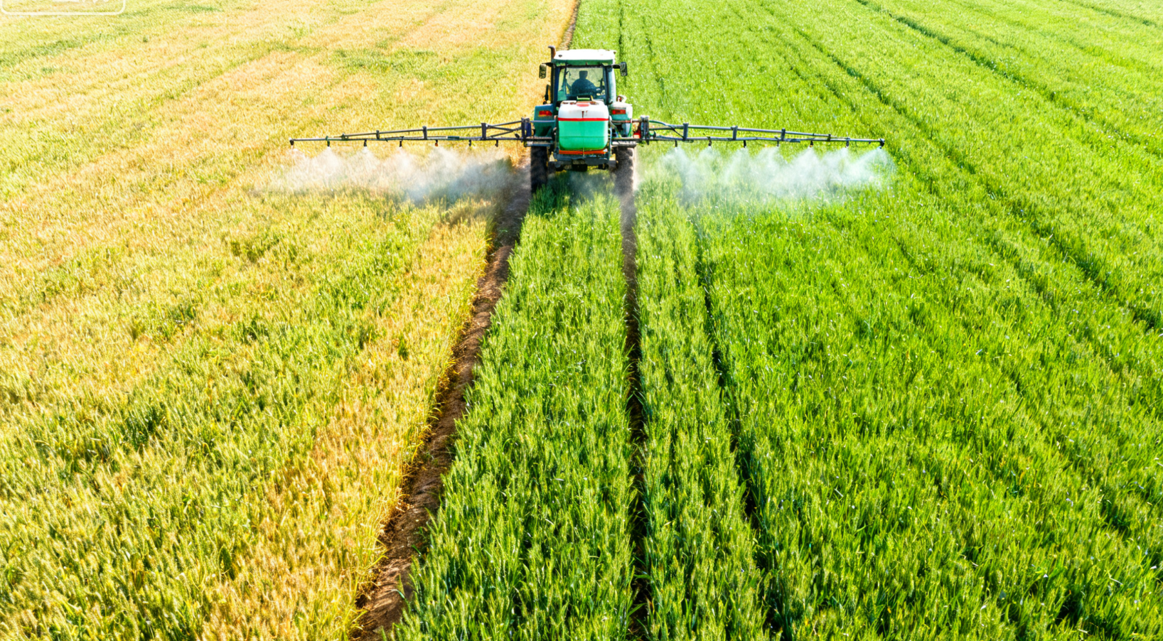 小麦促弱转壮管理,喷雾机喷施叶面肥促进叶片转绿