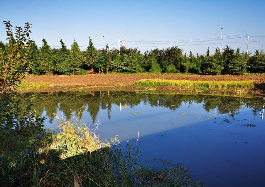 村民广场