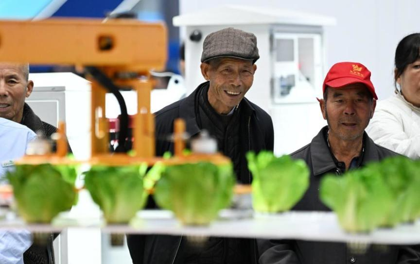 AI农具相关图片